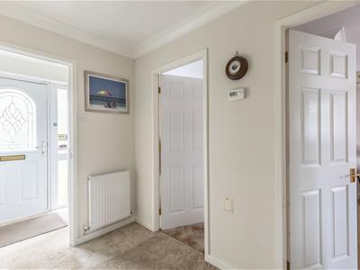 Picture 7